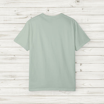 All You Need Is Love and a Cat (or 5) Tee – Comfort Colors Cat Lover T-Shirt